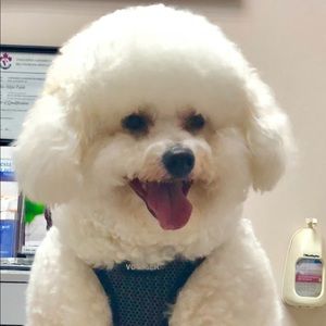 Meet your Posher, Evelyn